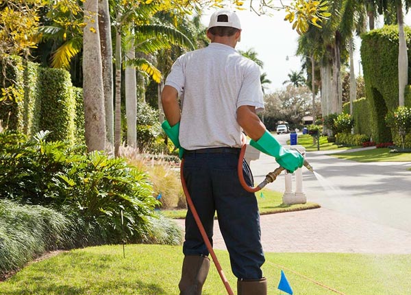 About Tonasket WA Pest Control Pros